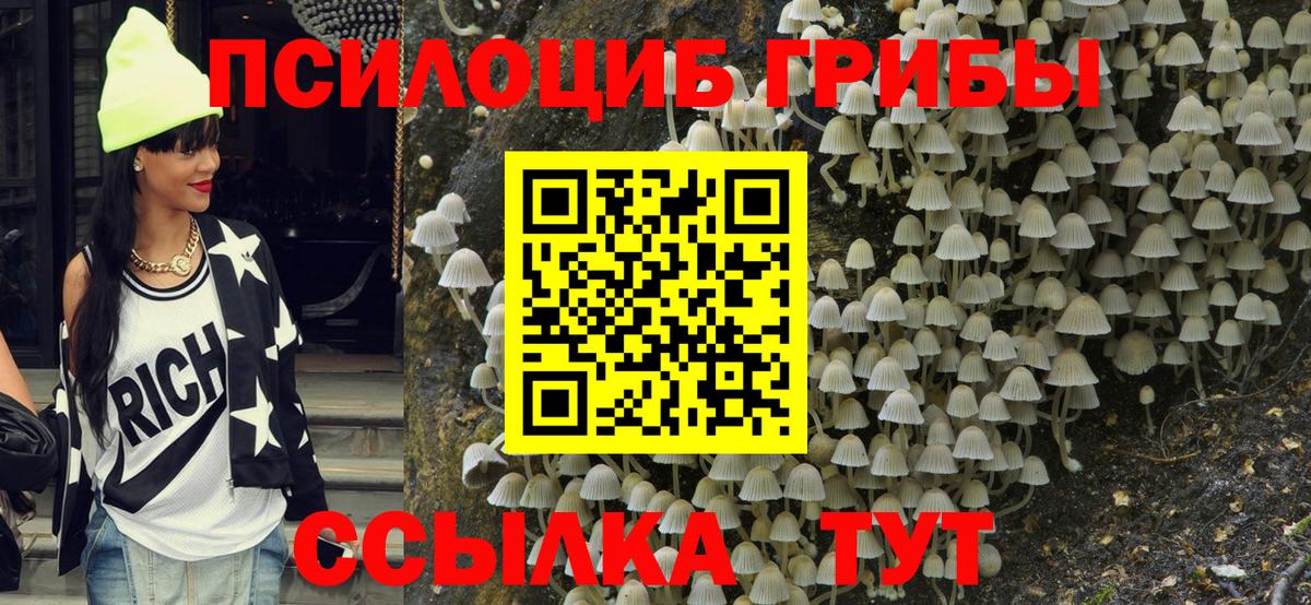 Семёнов  Псилоцибиновые грибы Psilocybe  Вход с VPN 